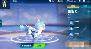 飞车最新爆料宠物,萌宠助力,畅游速度与激情世界 第1张 飞车最新爆料宠物,萌宠助力,畅游速度与激情世界 第1张