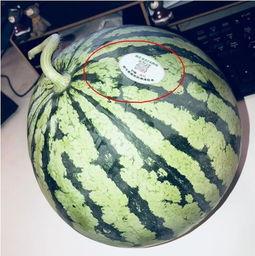 八卦吃瓜网红最新,揭秘娱乐圈幕后风云  第2张